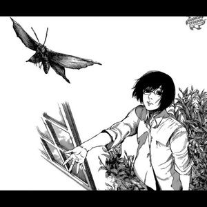 Meet your Posher, Xavier